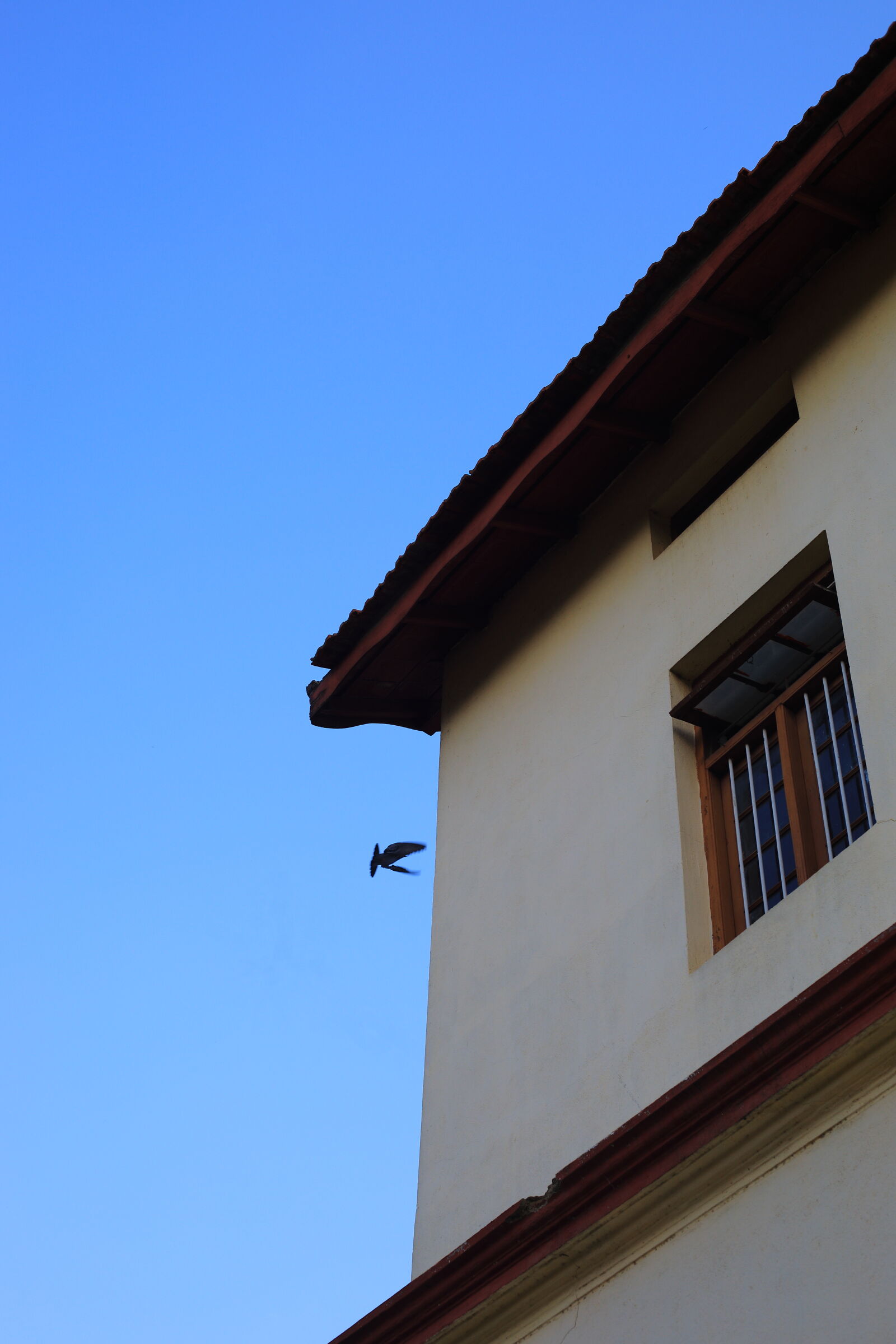 Canon EOS 5D Mark IV sample photo