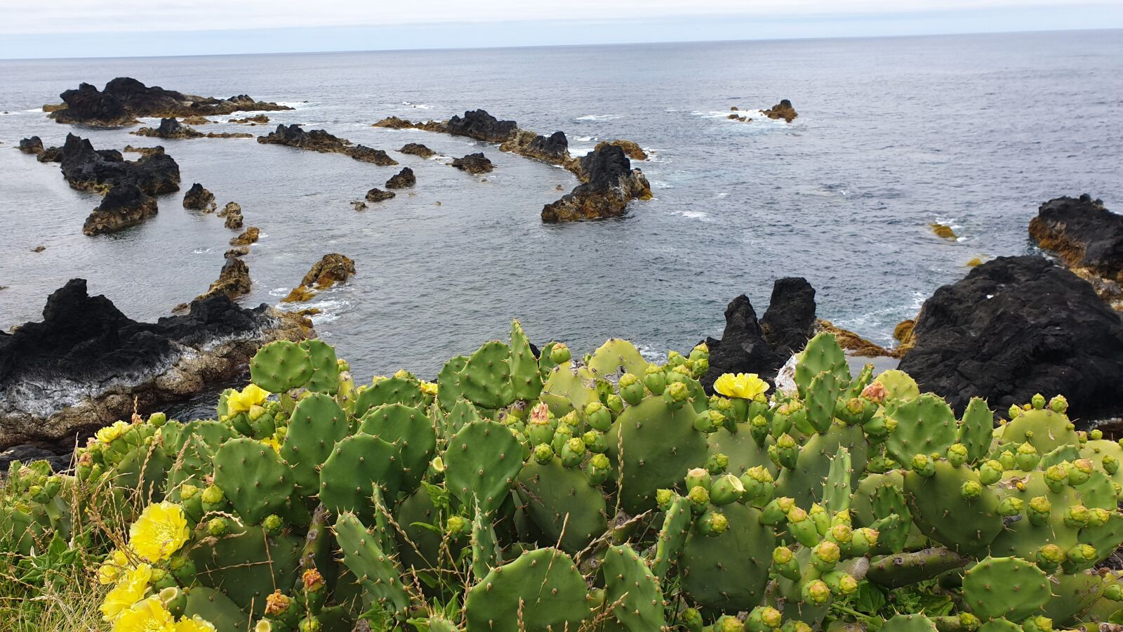 Samsung Galaxy S9 sample photo. Azores, island, travel photography