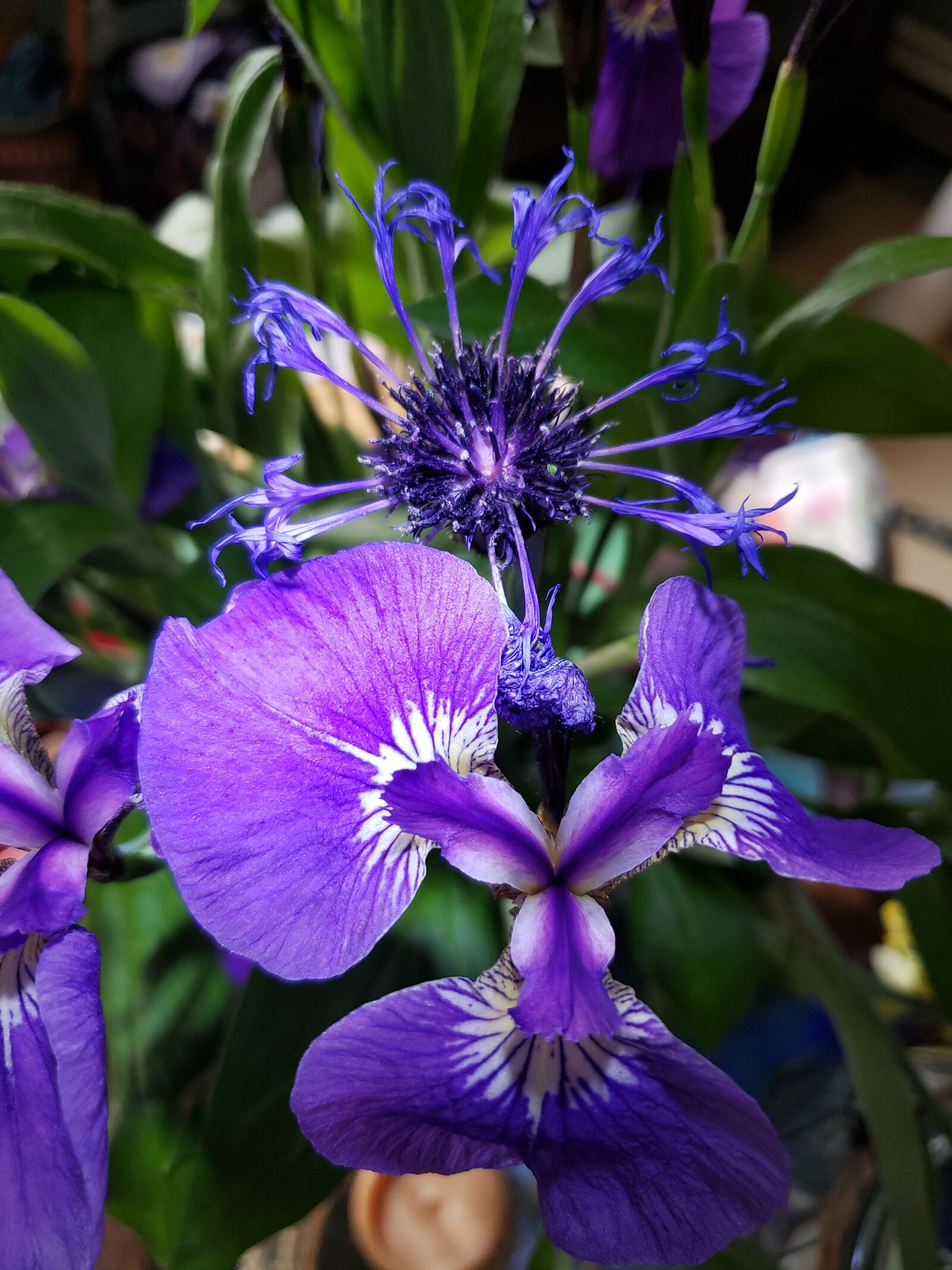 Samsung Galaxy S9 sample photo