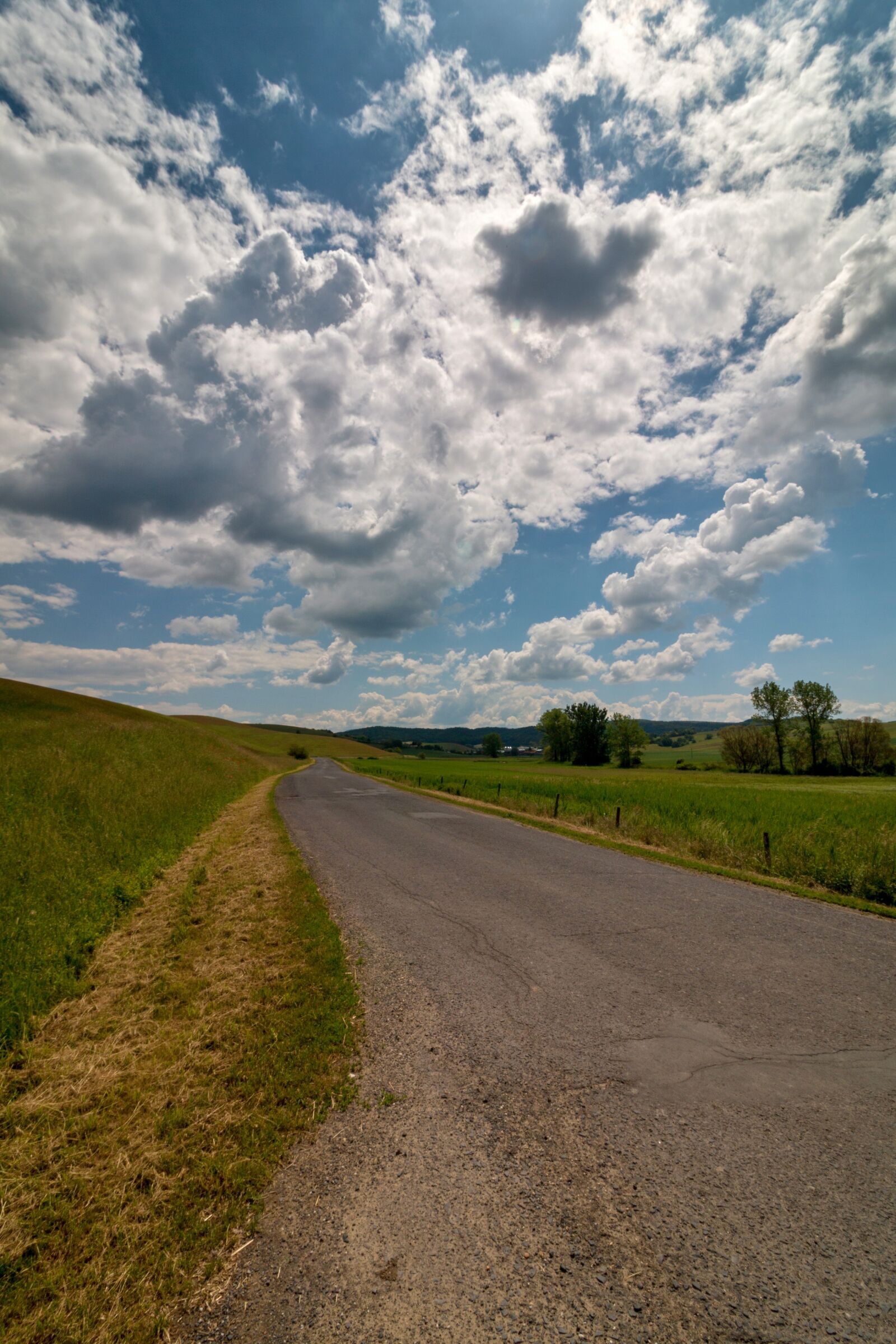 Canon EOS 70D + Canon EF-S 10-18mm F4.5–5.6 IS STM sample photo. Nature, path, pleš photography