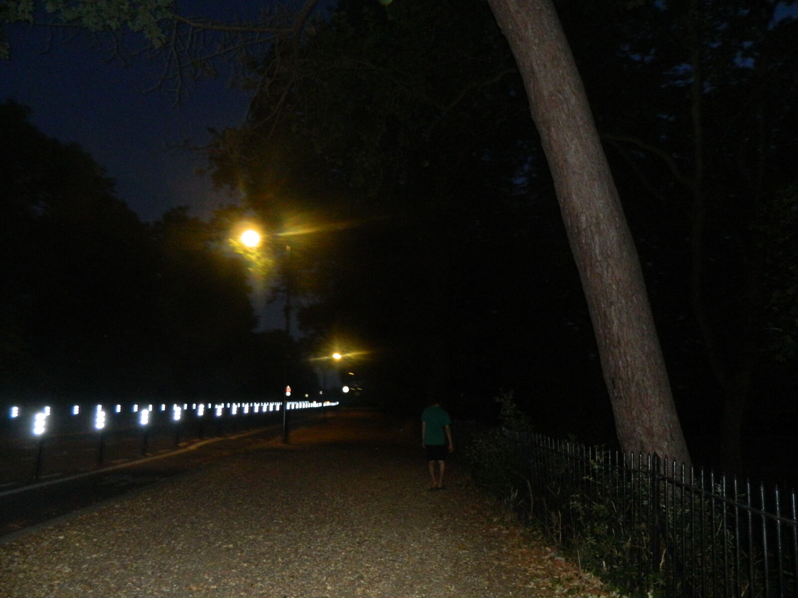 Nikon COOLPIX L310 sample photo