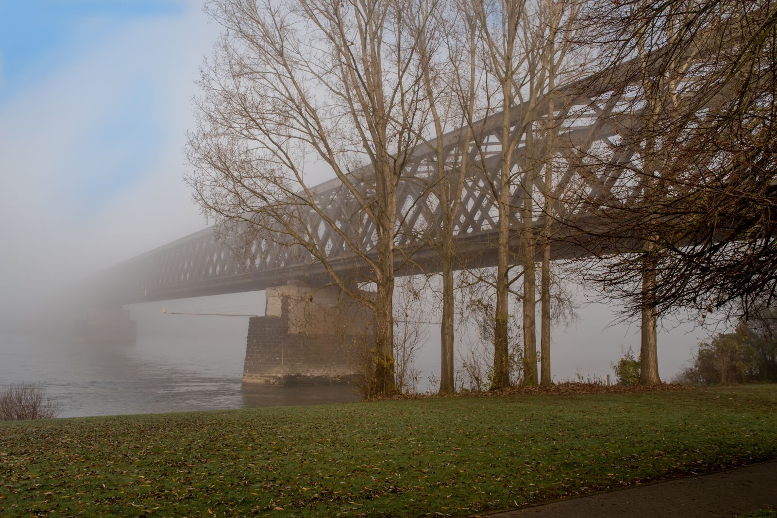 Nikon D5500 sample photo. Urmitz, bridge, fog photography