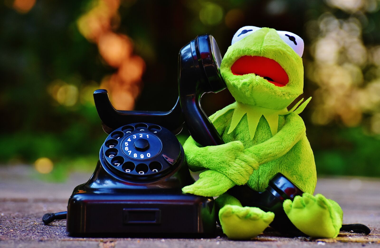Nikon D7200 sample photo. Kermit, frog, phone photography