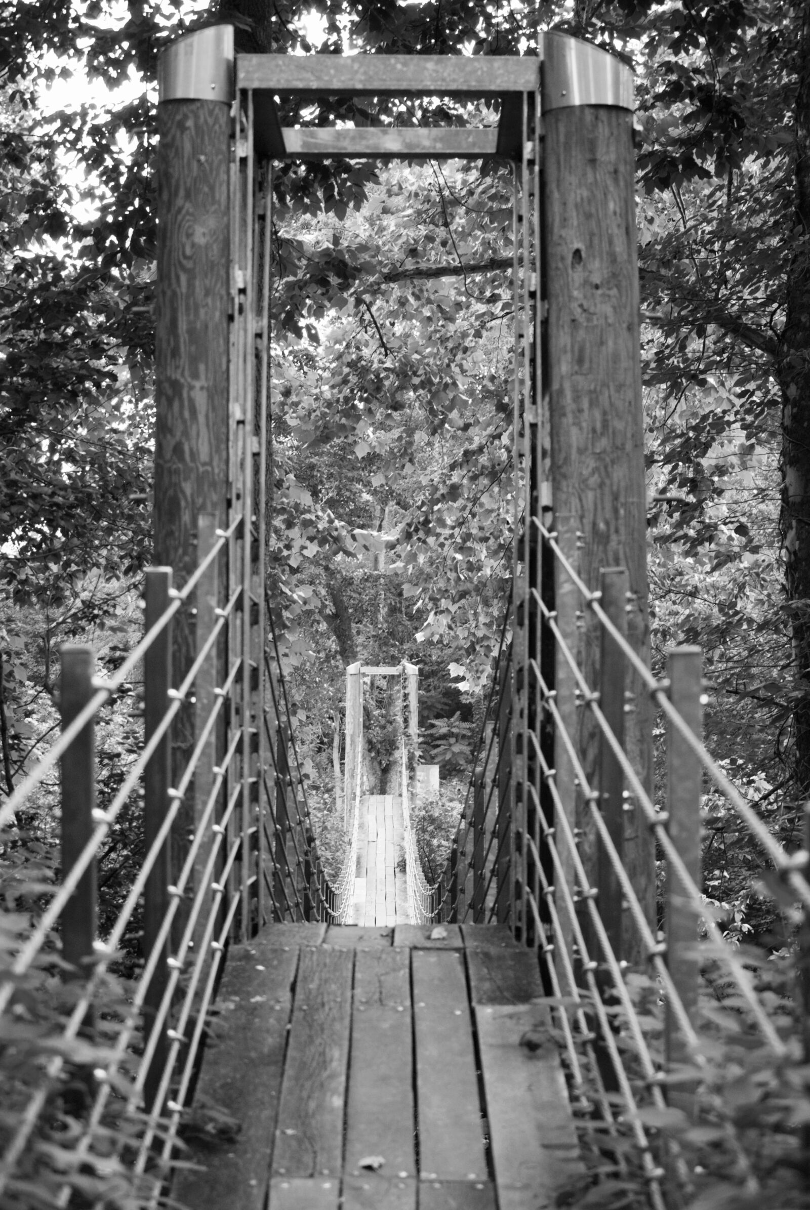 Nikon D80 sample photo. Black, and, white, bridge photography