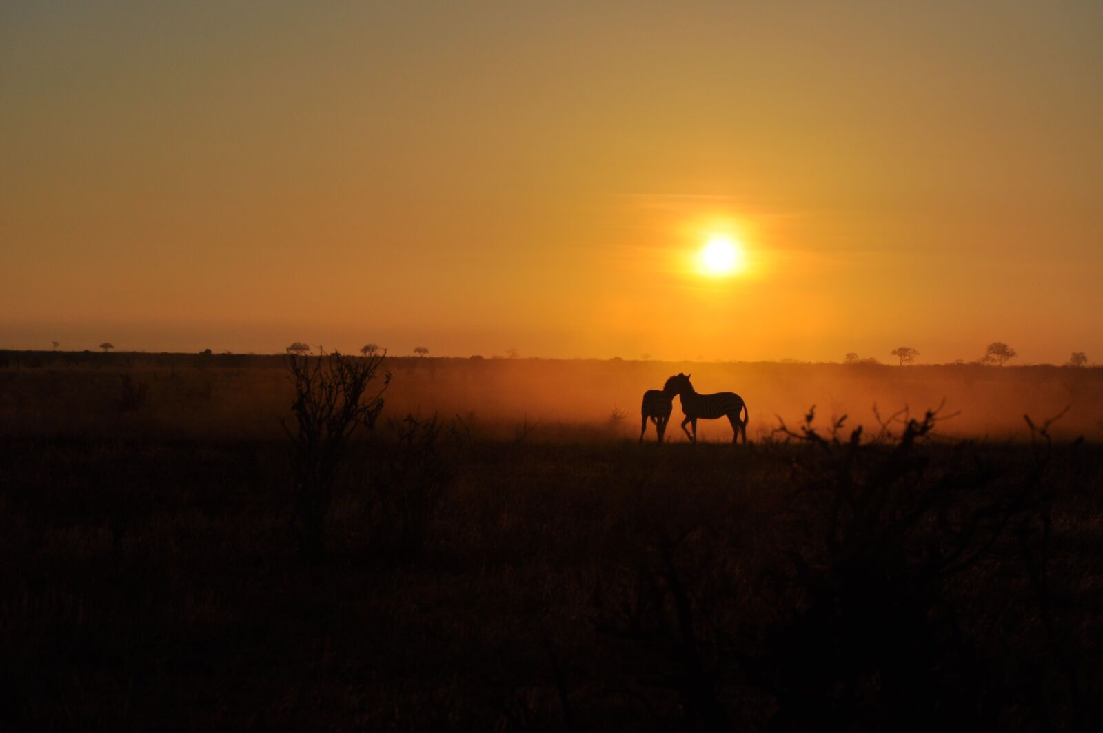 Nikon D5000 sample photo. Sunrise, dawn, sun photography