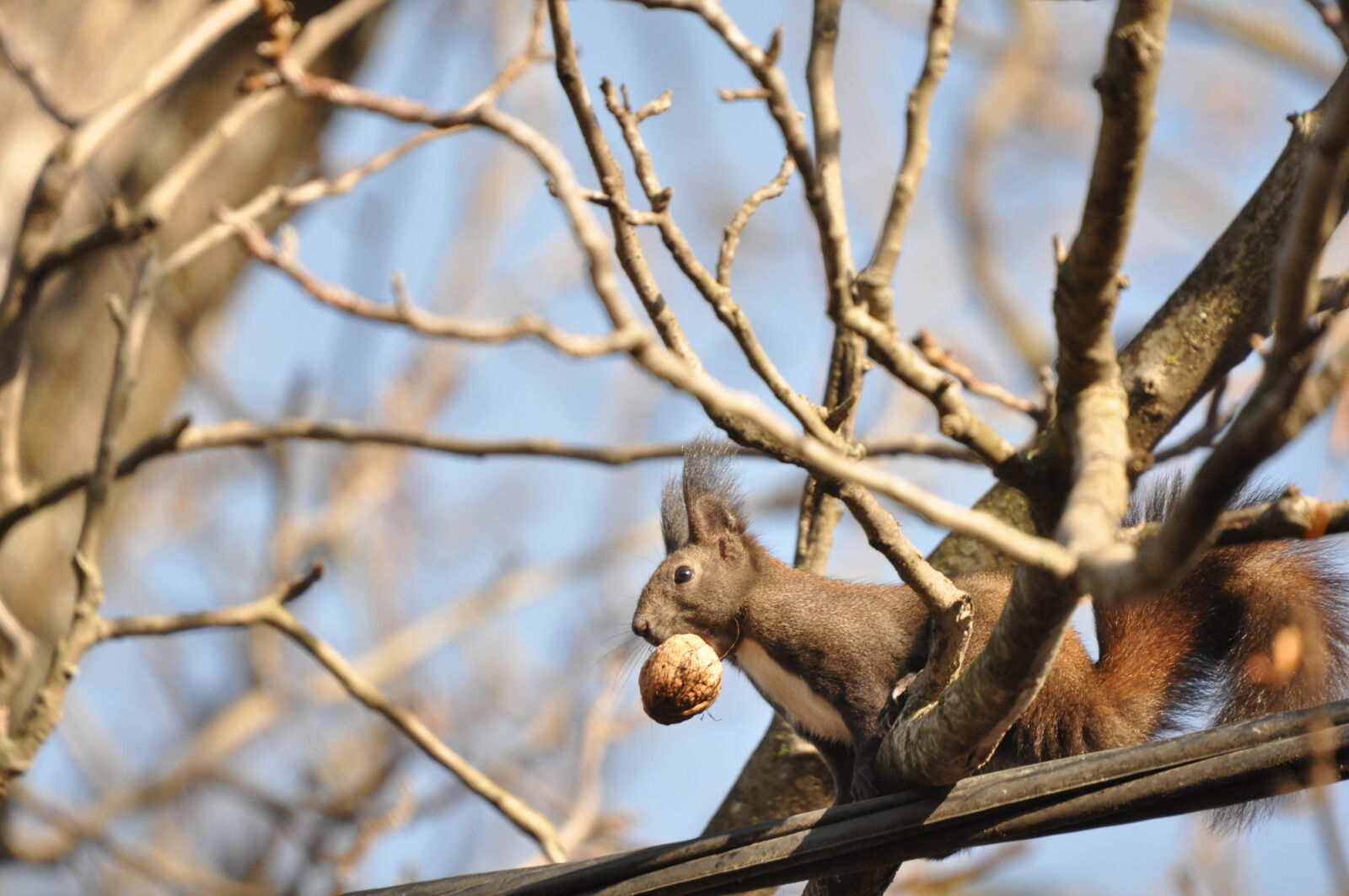 Nikon D90 sample photo