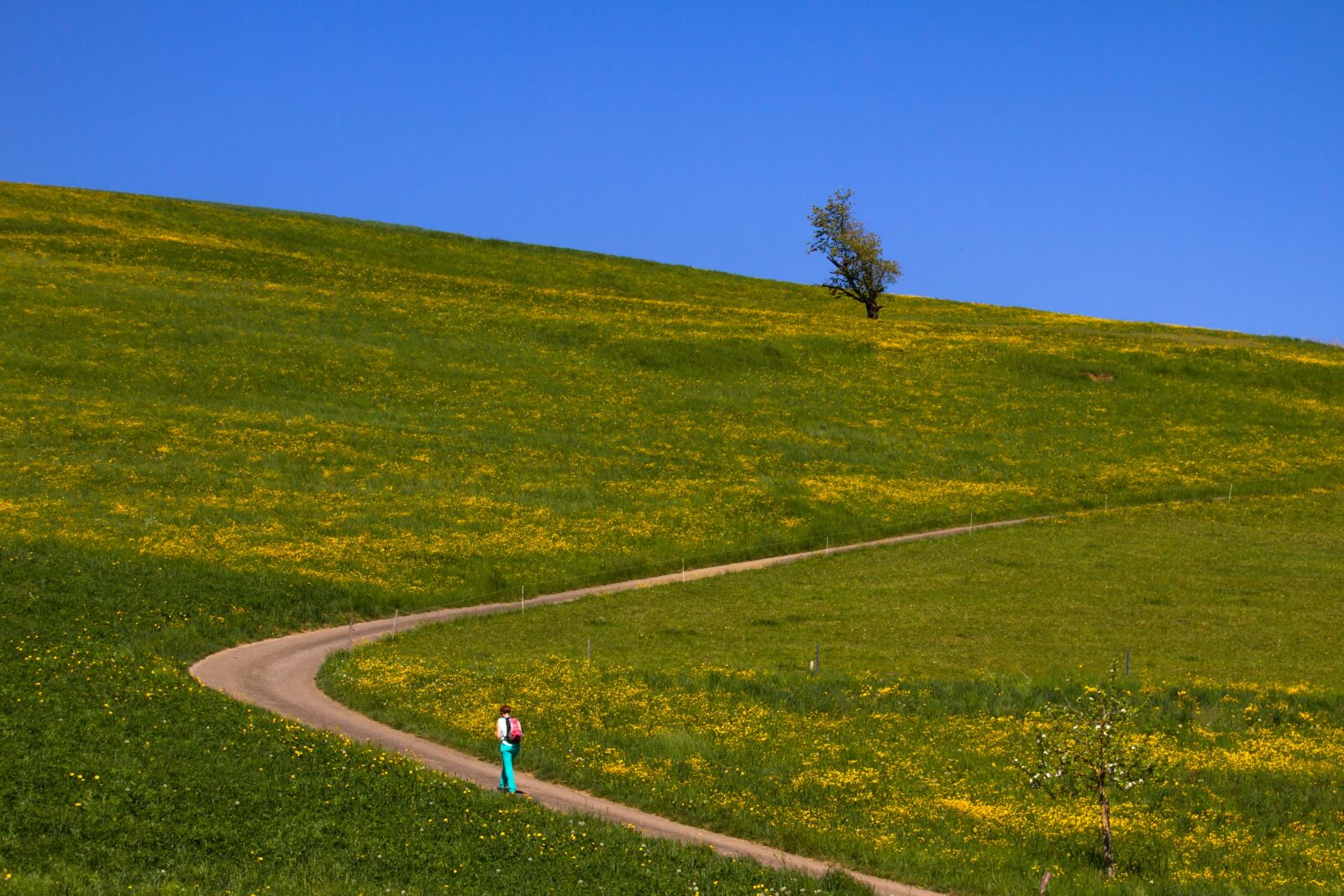 Canon EOS 7D sample photo. Trail, landscape, meadow photography