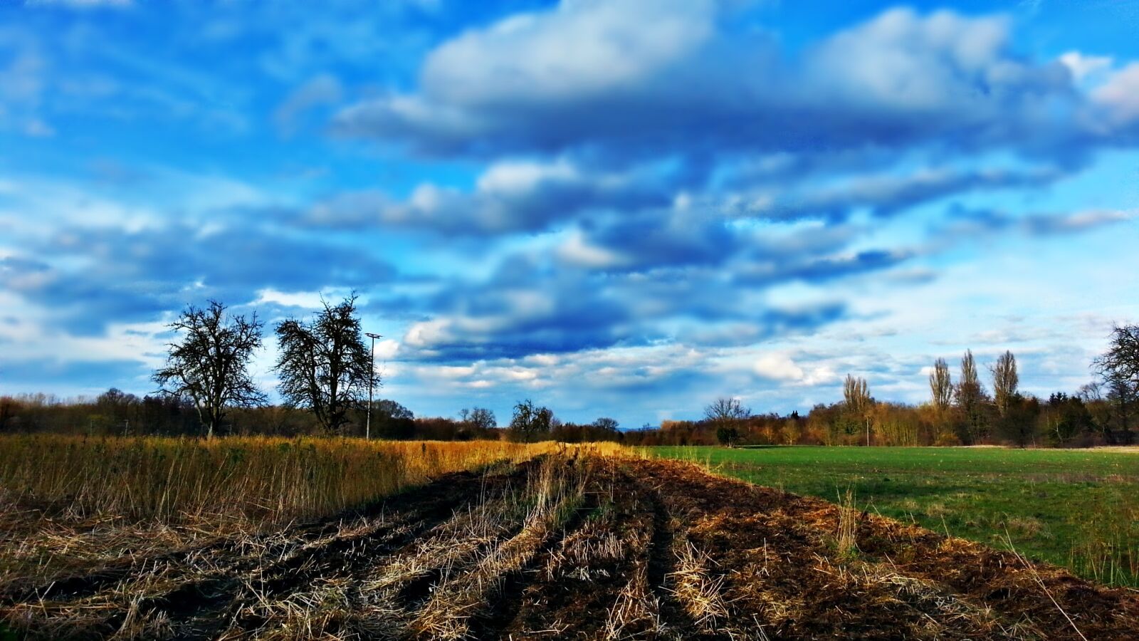 Samsung Galaxy S3 sample photo. Field, meadow, landscape photography