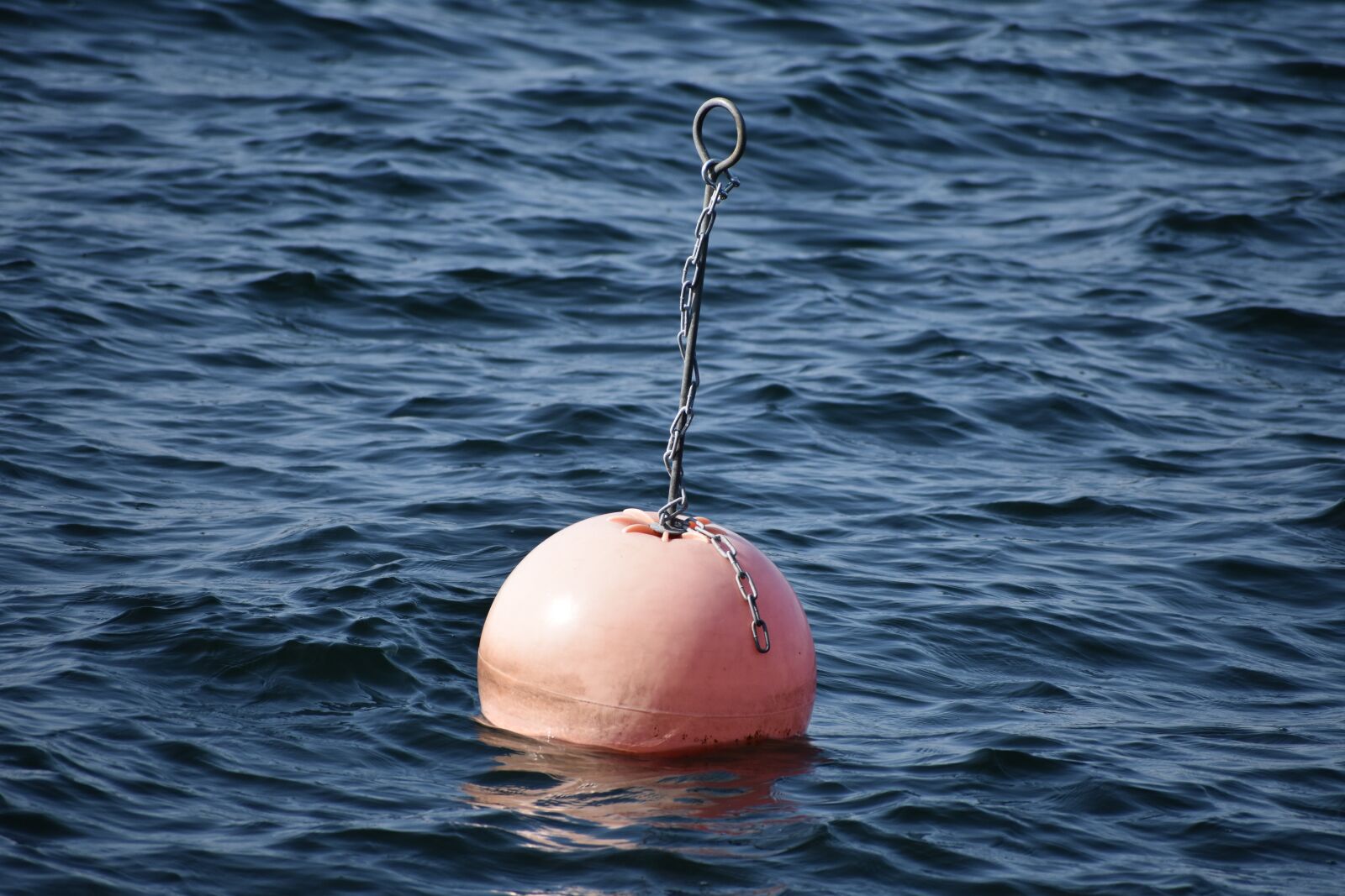 Nikon D3400 sample photo. Mooring buoy, sea, water photography