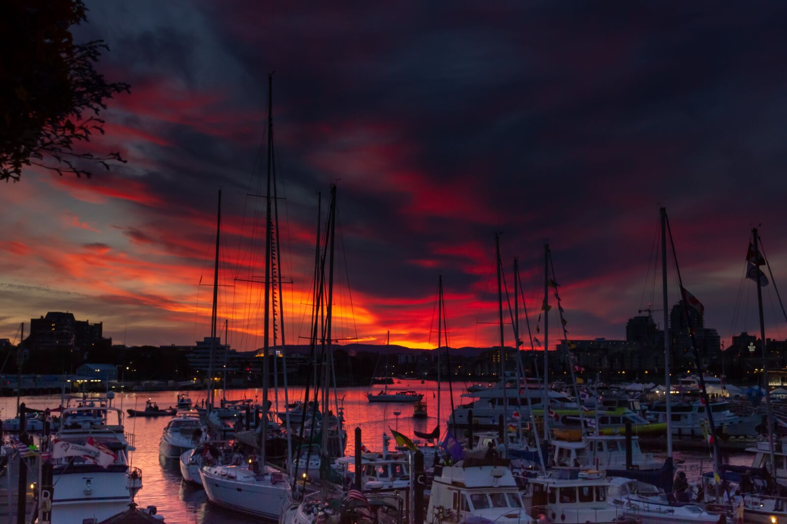Canon EOS 550D (EOS Rebel T2i / EOS Kiss X4) sample photo. Sunset, ships, ocean photography