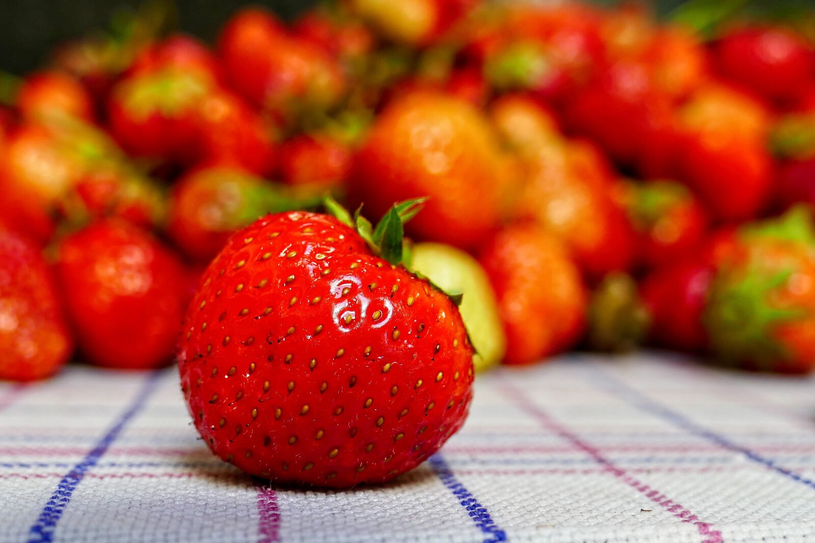 Panasonic Lumix DMC-FZ1000 sample photo. Strawberry, strawberries, zomerkoninkje photography