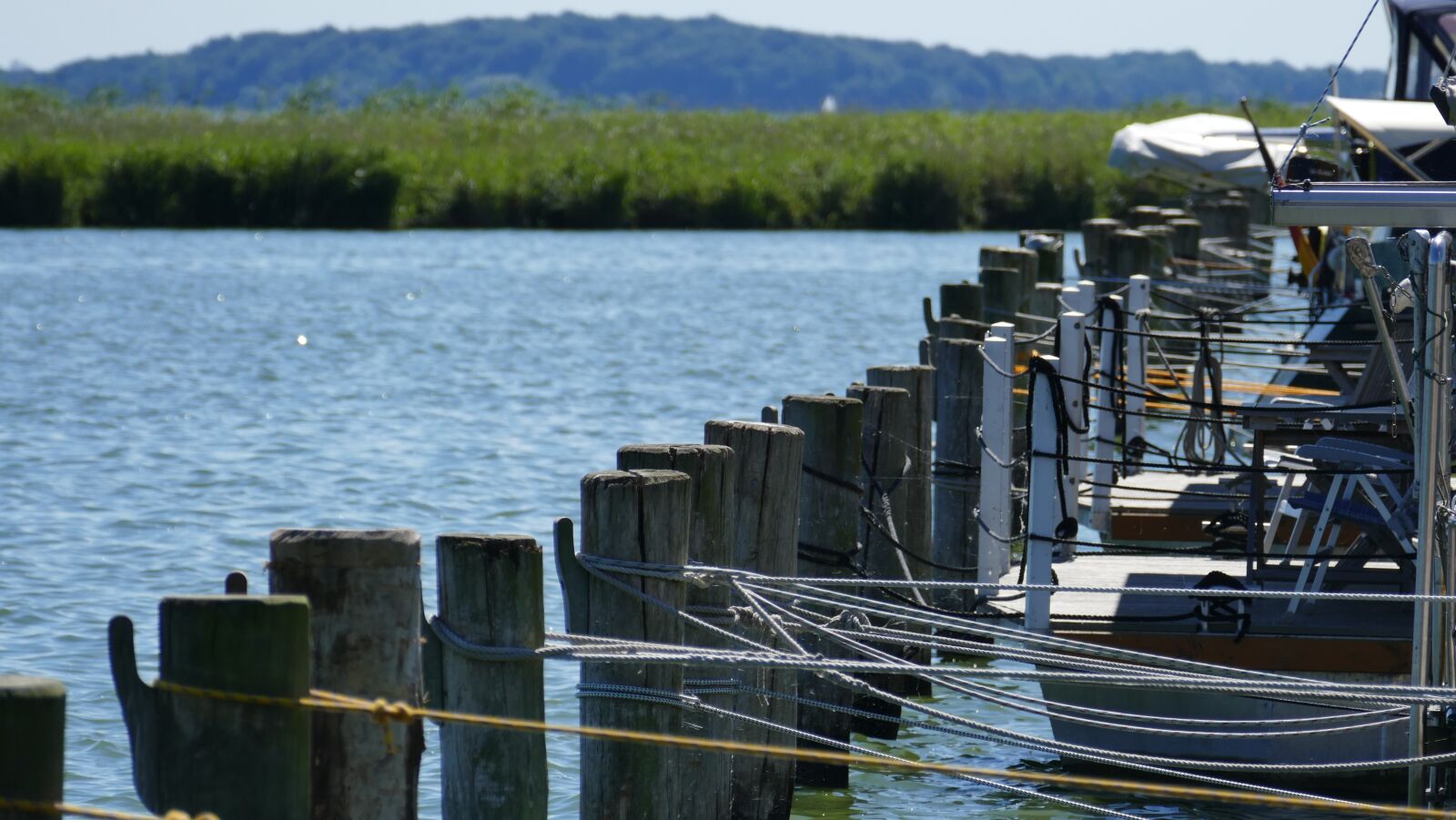 Leica V-Lux (Typ 114) sample photo. Port, water, lake photography