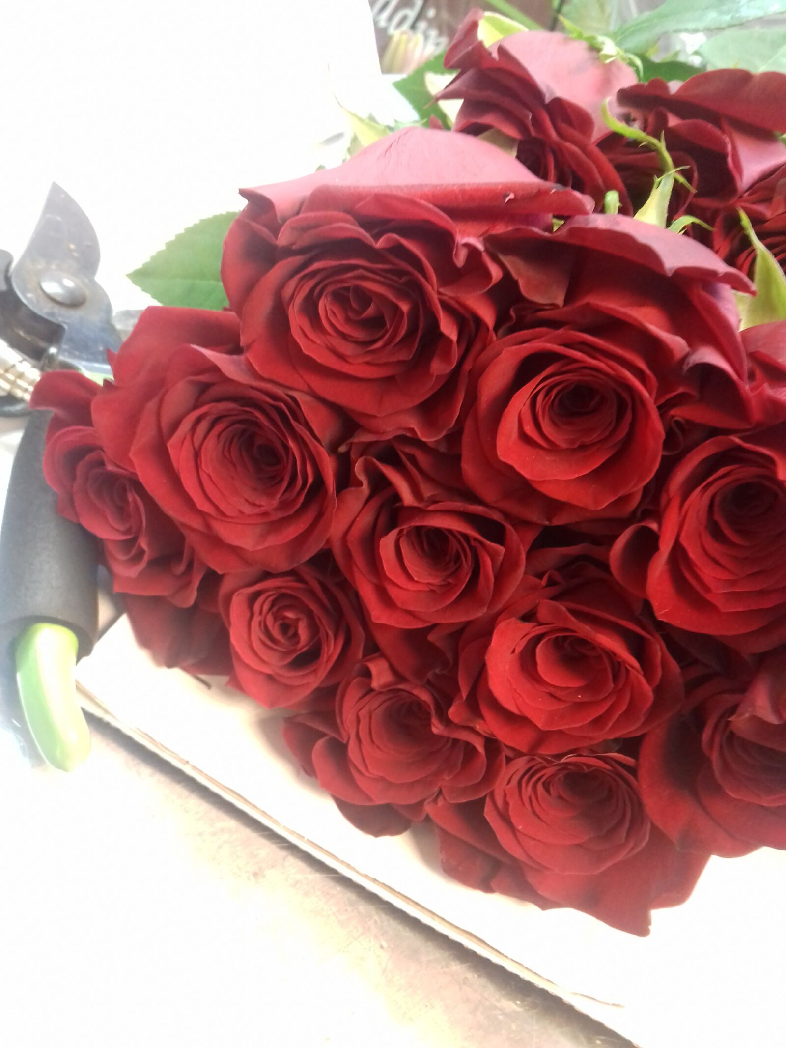 Samsung Galaxy J3(2016) sample photo. Red roses, flowers, rose photography