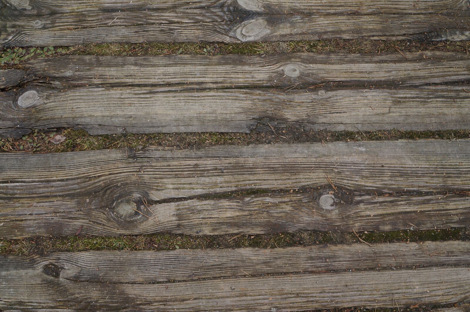 Sony Alpha a3000 sample photo. Wood, brown, background photography