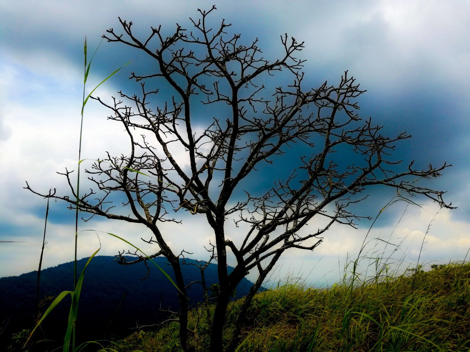 HUAWEI P9 LITE sample photo. Nature, cloudy, hill photography