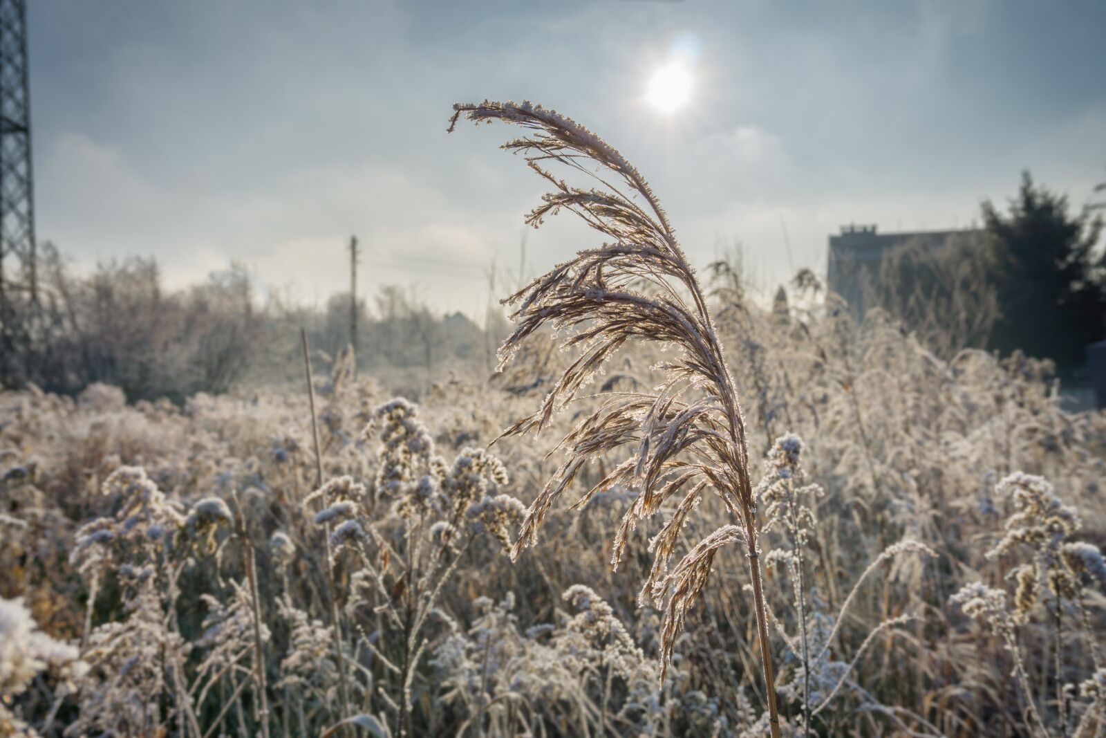 Sony a6000 sample photo. Winter, frost, the ecclesia photography