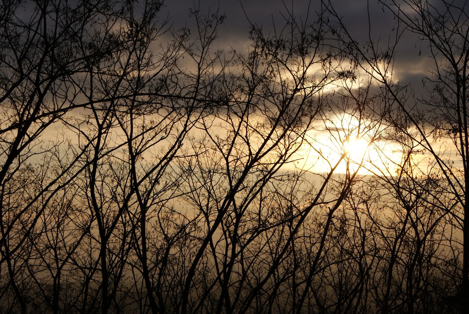 Sony Alpha DSLR-A200 sample photo. Sunset, twilight, landscapes photography