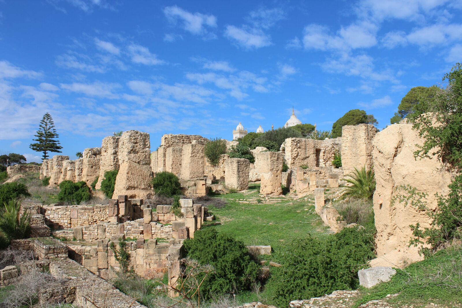Canon EOS 1300D (EOS Rebel T6 / EOS Kiss X80) sample photo. Carthago, carthage, history photography