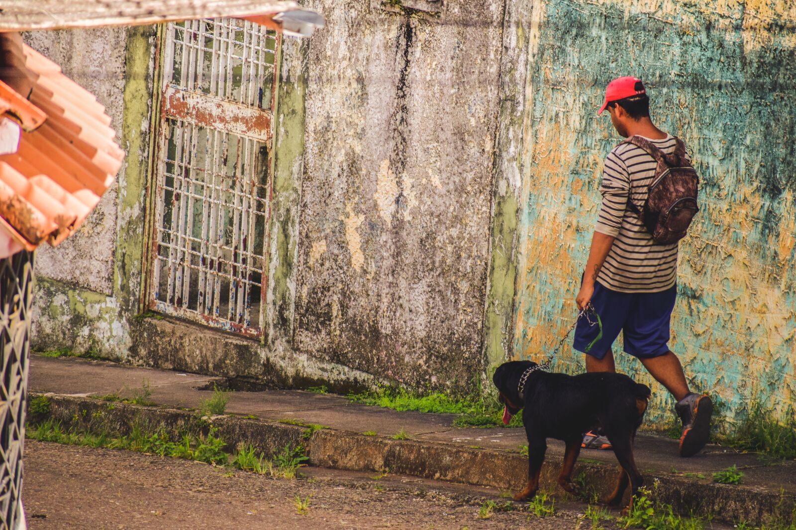 Nikon D5300 sample photo. People, dog, pet photography
