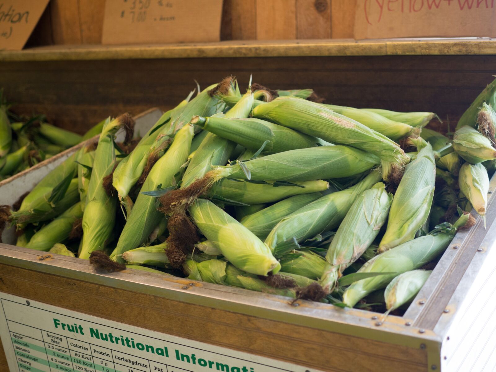 Olympus OM-D E-M10 II + Olympus M.Zuiko Digital 25mm F1.8 sample photo. Corn on the cob photography