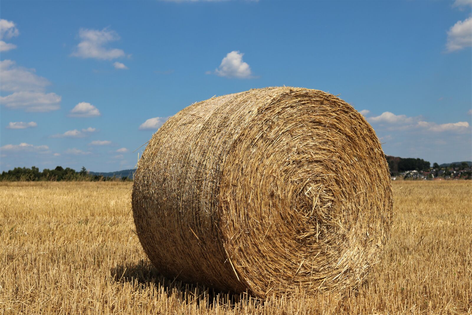 Canon EOS 760D (EOS Rebel T6s / EOS 8000D) + Canon EF 35mm F2 IS USM sample photo. Hay bales, free standing photography