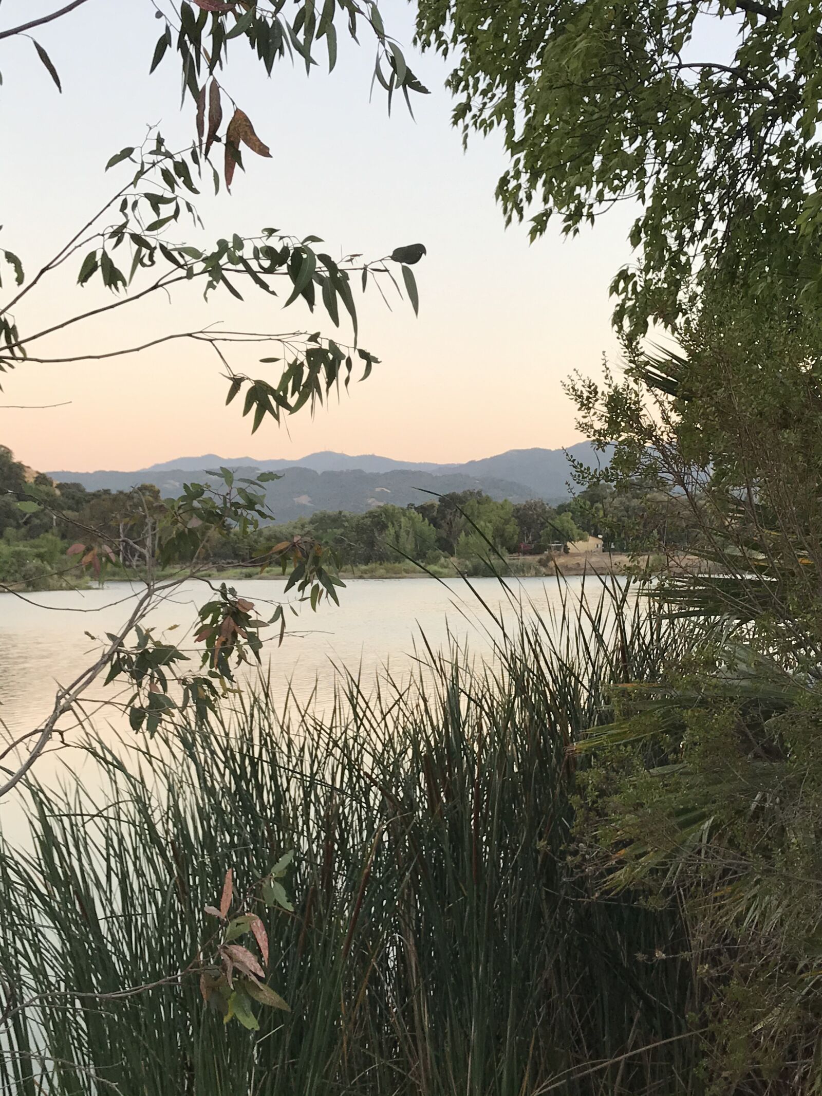 Apple iPhone 7 Plus sample photo. Nature, evening, lake photography