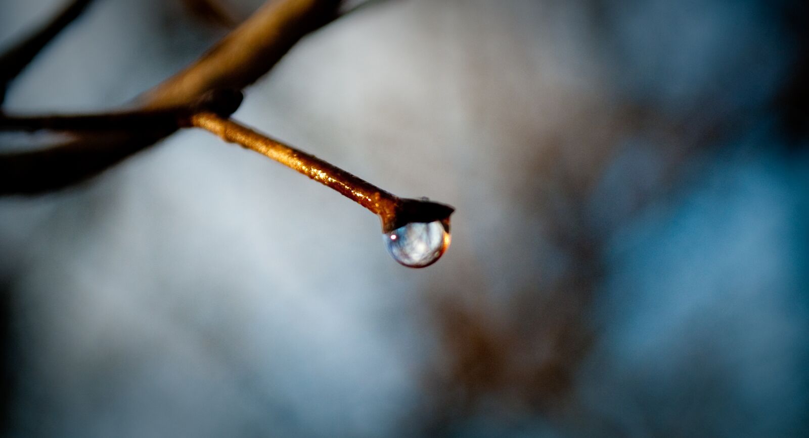 Nikon D60 sample photo. Drop, macro, reflection photography