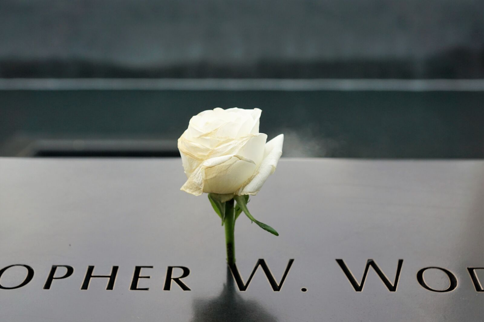 Sony ILCA-77M2 + Sony DT 16-50mm F2.8 SSM sample photo. Ground zero, new york photography