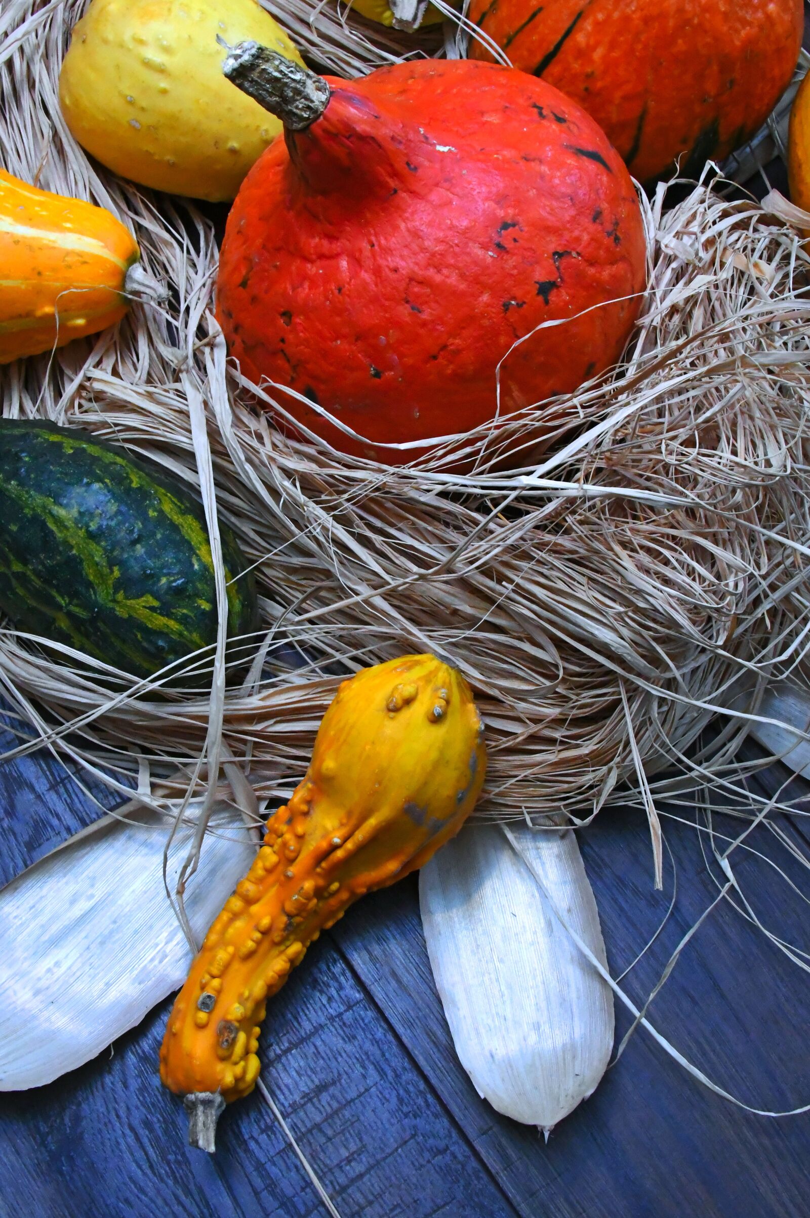 Nikon D3200 sample photo. Pumpkin, autumn, autumn still photography