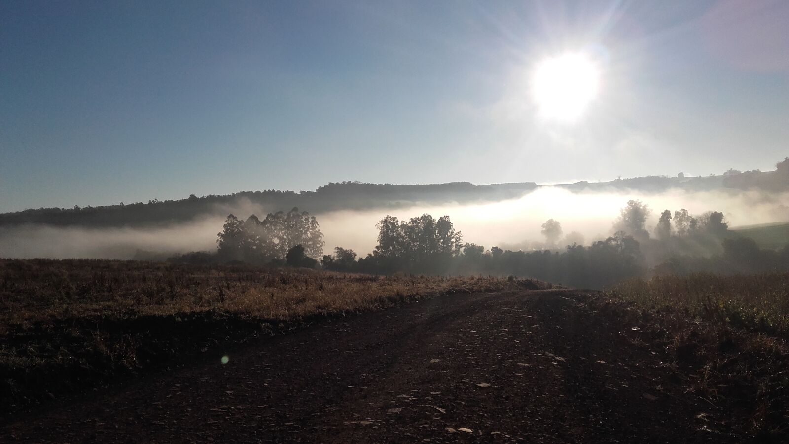 Samsung Galaxy Grand Prime sample photo. Sol, fog, sunrise photography