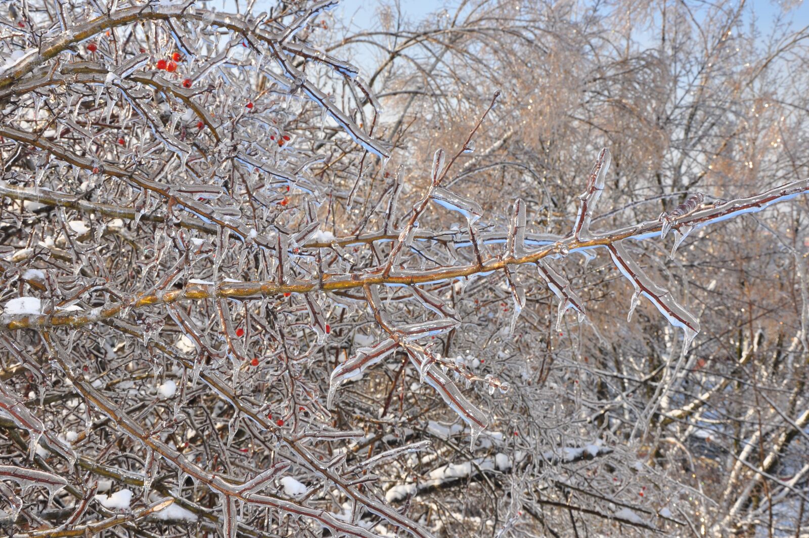 Nikon D90 sample photo. Winter, ice, będzin photography