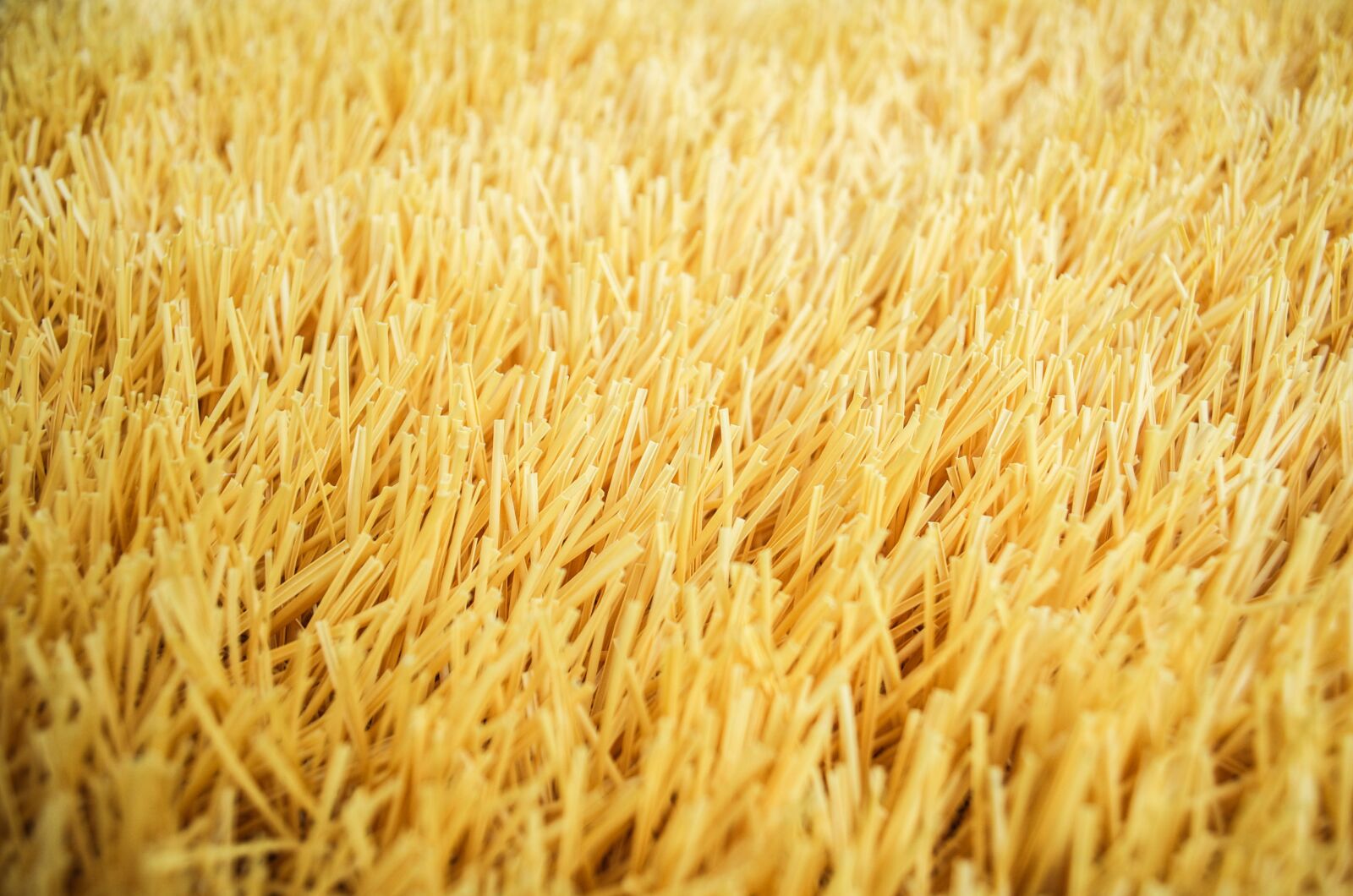 Nikon D5100 sample photo. Yellow, gold, grass photography