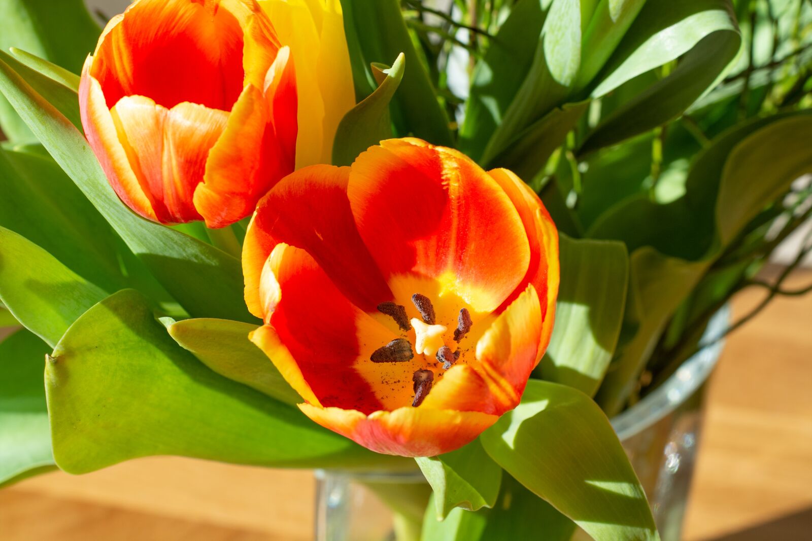 Nikon D7100 sample photo. Tulips, flowers, bouquet photography
