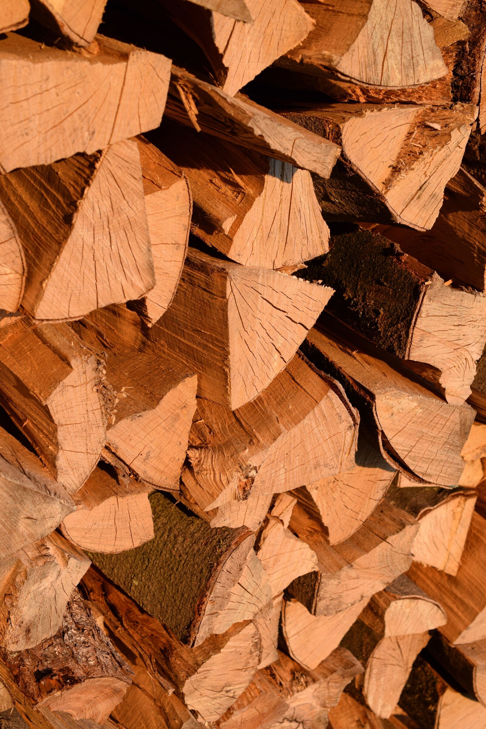 Nikon D5300 sample photo. Wood pile, firewood, wood photography