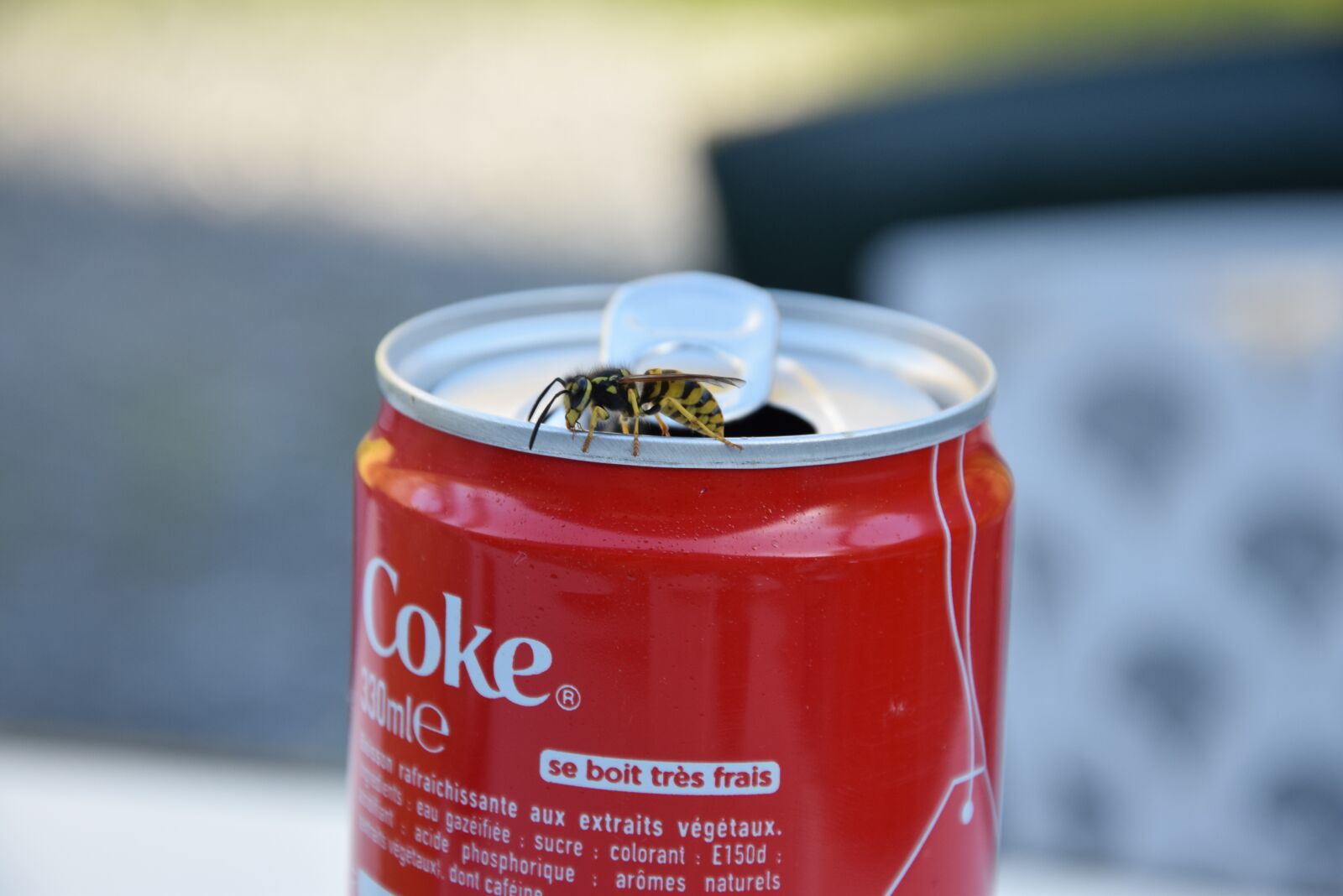 Nikon D5300 sample photo. Wasp, sugar, coca photography