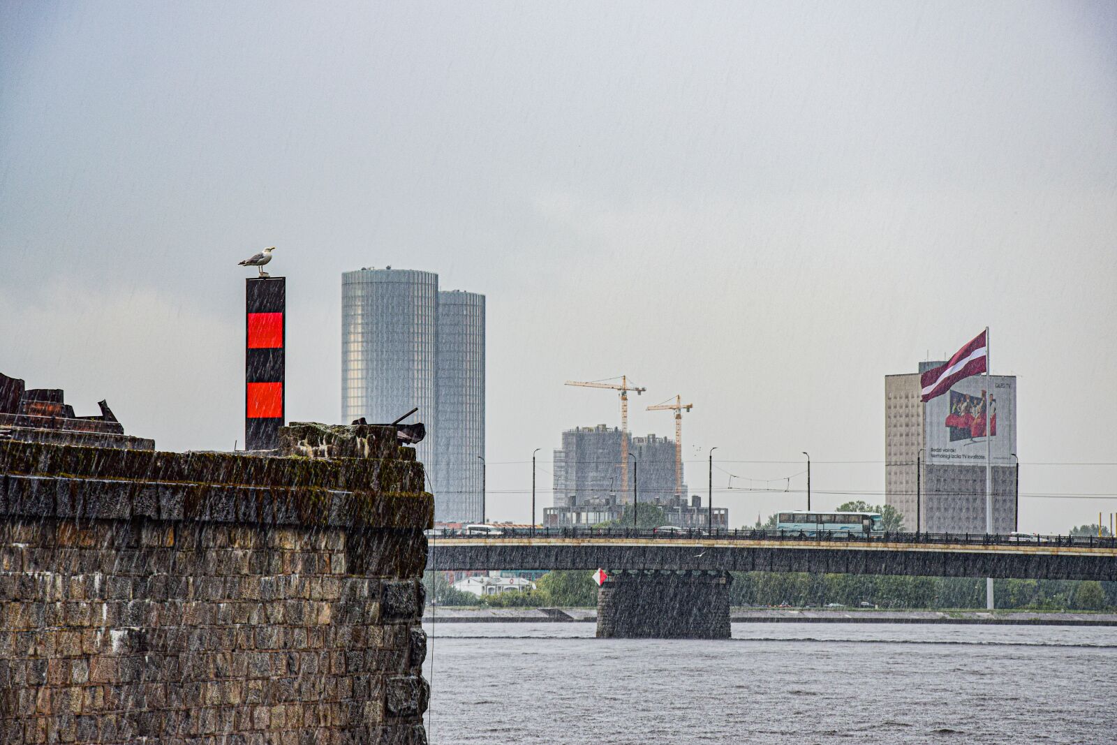 Nikon D5300 sample photo. Latvia, seagull, gloomy photography