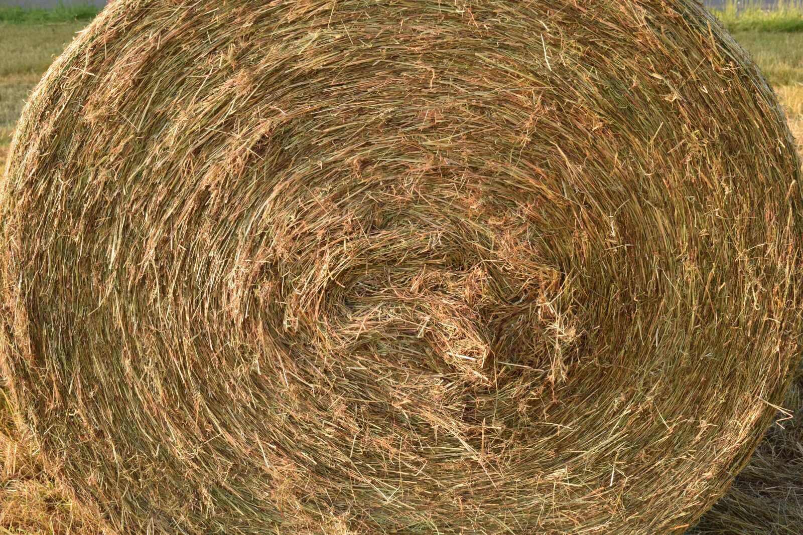 Nikon D3300 sample photo. Hay, hay bales, agriculture photography