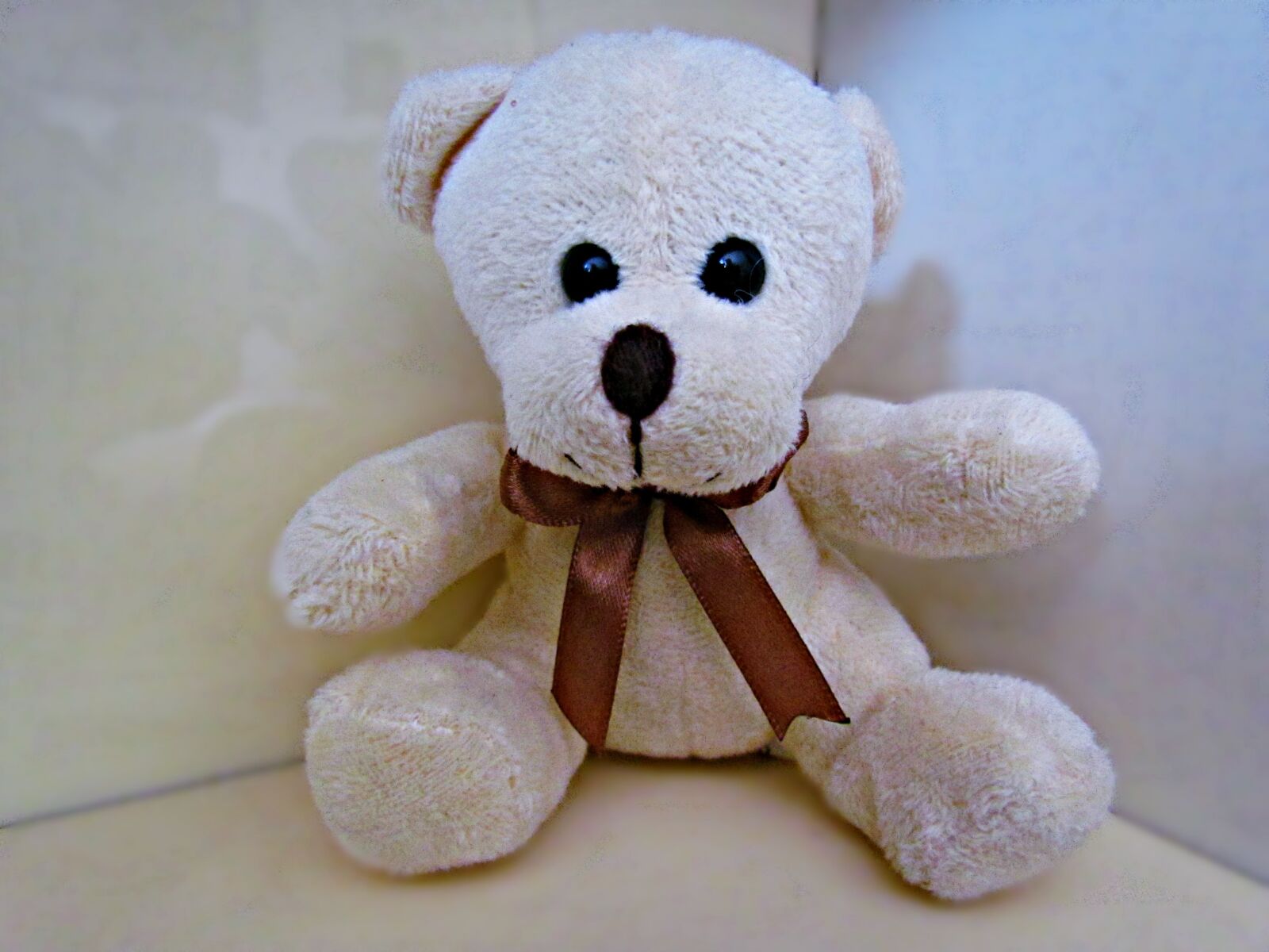 Canon PowerShot SX30 IS sample photo. Plush, teddy bear, toy photography