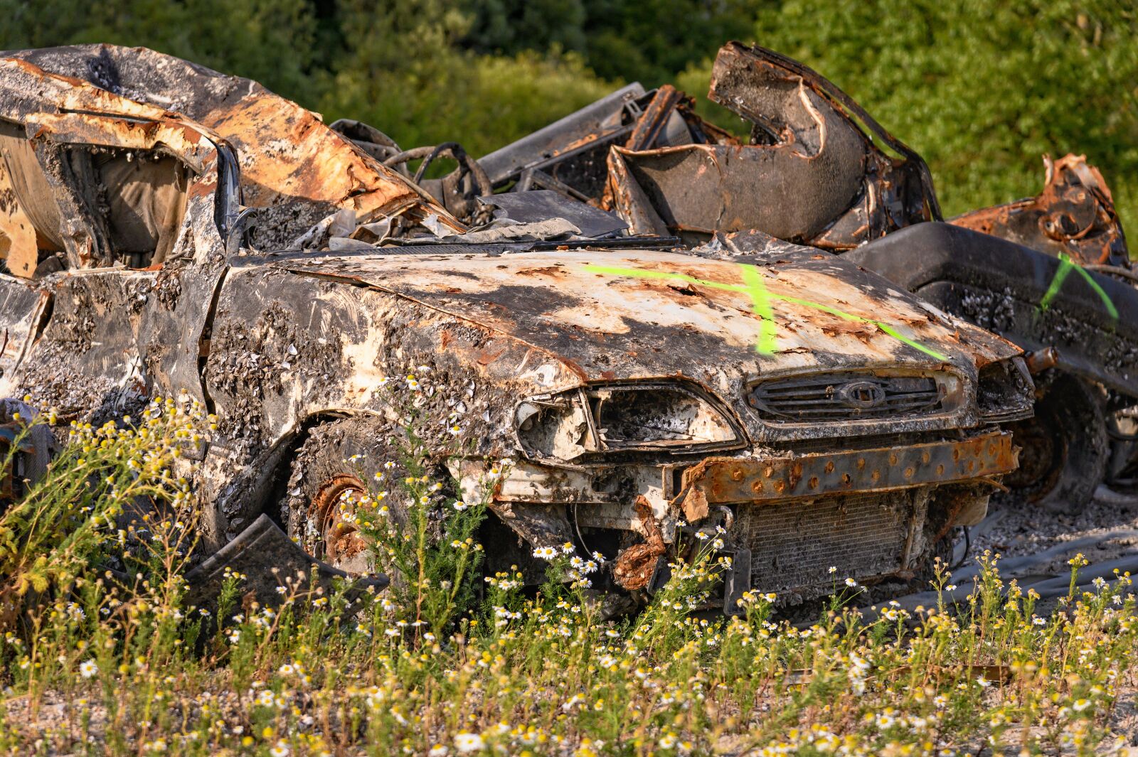 Nikon Z6 sample photo. Auto, wreck, scrap photography