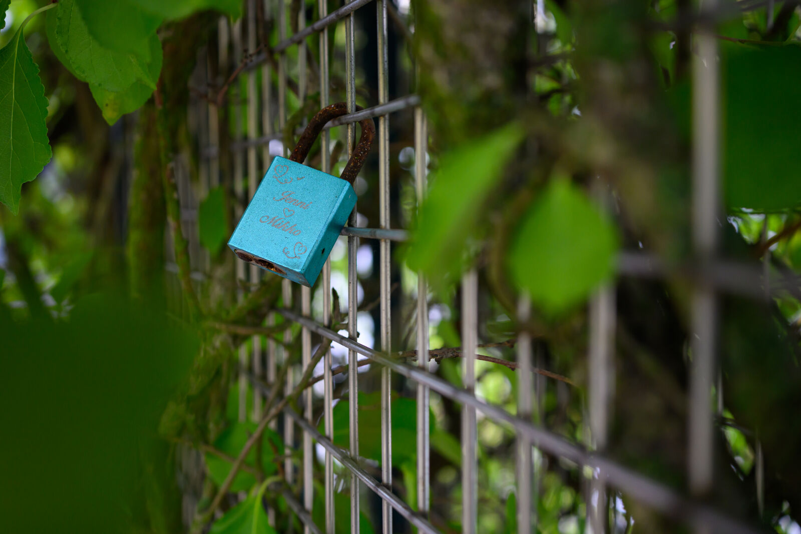 Nikon Z8 sample photo. Padlock bridge photography