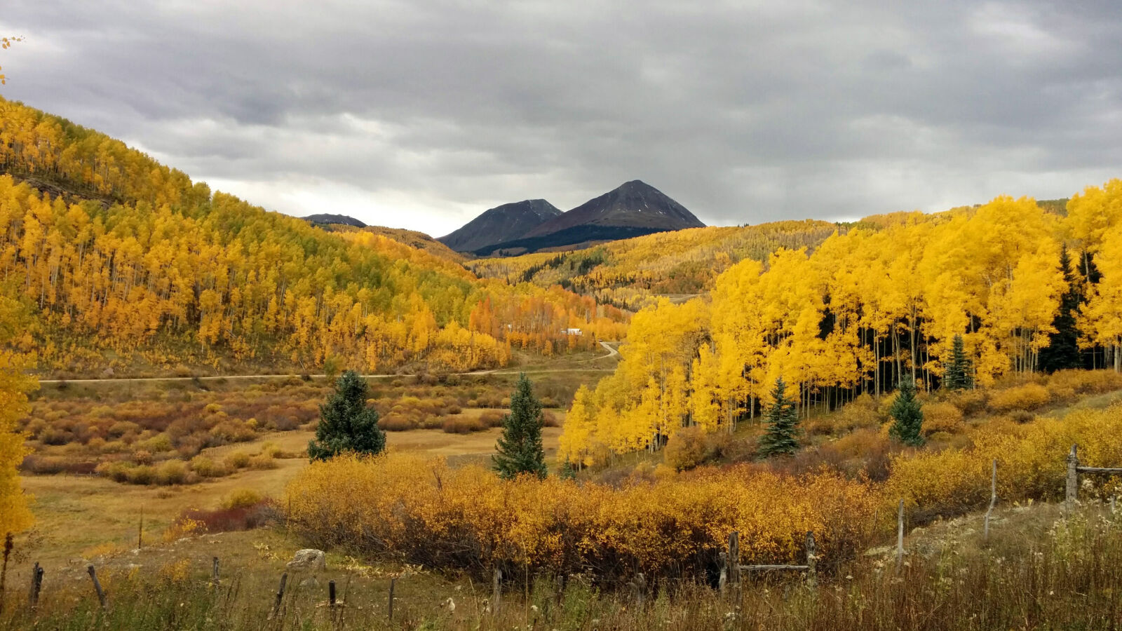 LG Nexus 5 sample photo. Aspen, trees, fall, mountains photography