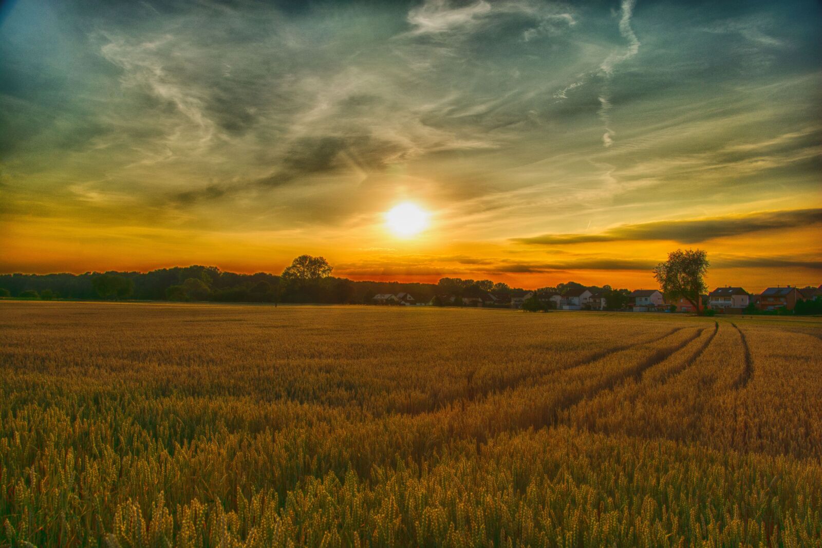 Nikon D7100 sample photo. Hagenbach, fields, summer photography