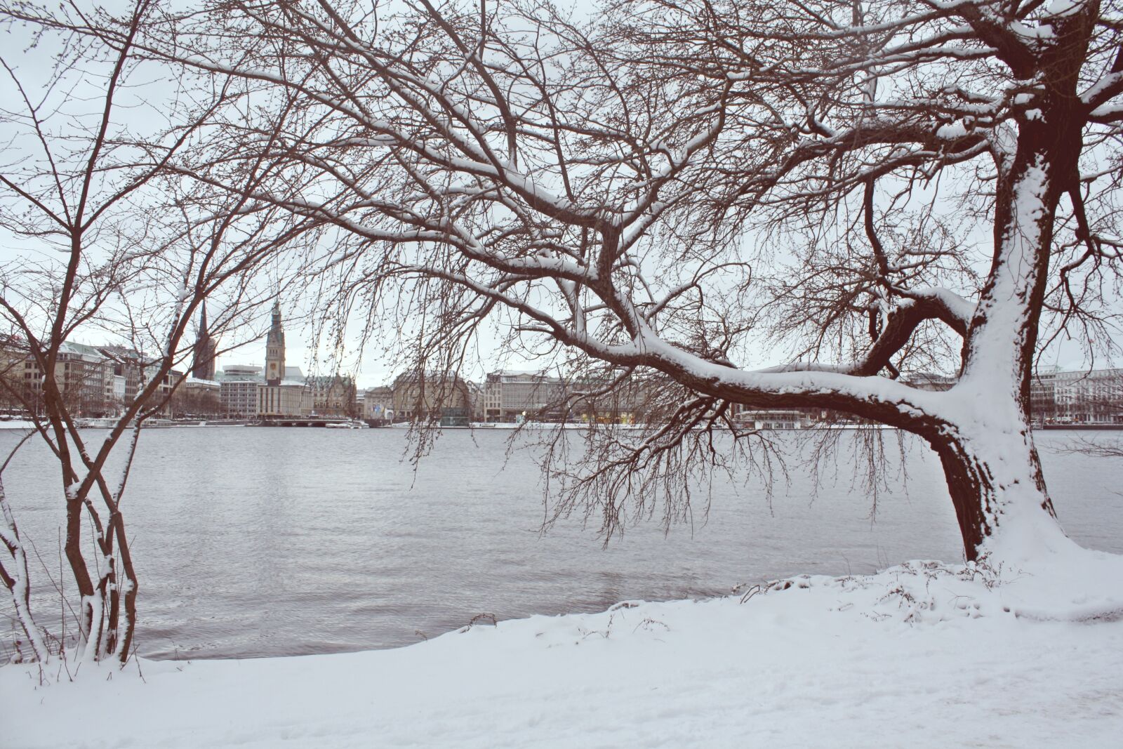 Canon EOS 1000D (EOS Digital Rebel XS / EOS Kiss F) sample photo. Winter, snow, tree photography