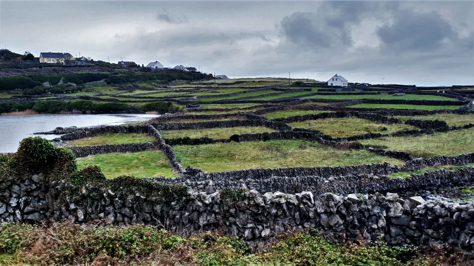 Samsung Galaxy S9 sample photo. Ireland, stone walls, meadow photography