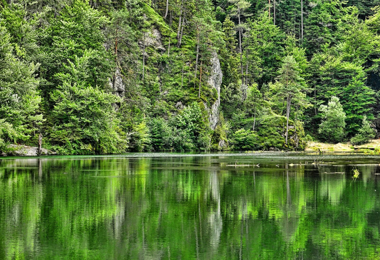 Sony Cyber-shot DSC-RX10 III sample photo. Nature, forest, waters photography