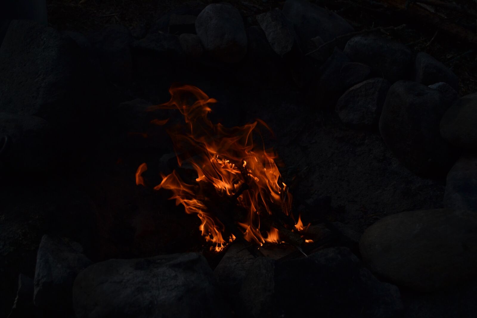 Nikon D3100 sample photo. Fire, night, summer photography
