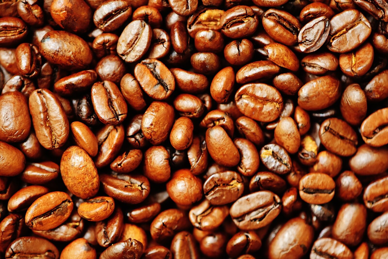 Nikon D7200 sample photo. Coffee, coffee beans, cafe photography