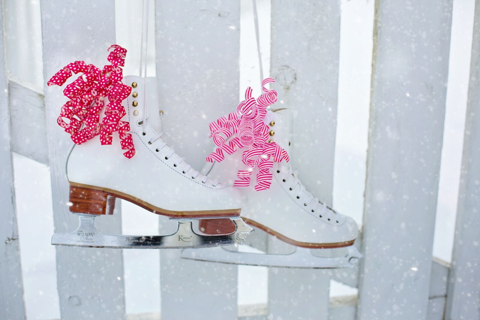 Canon EF 50mm F1.4 USM sample photo. Ice skates, hanging, fence photography