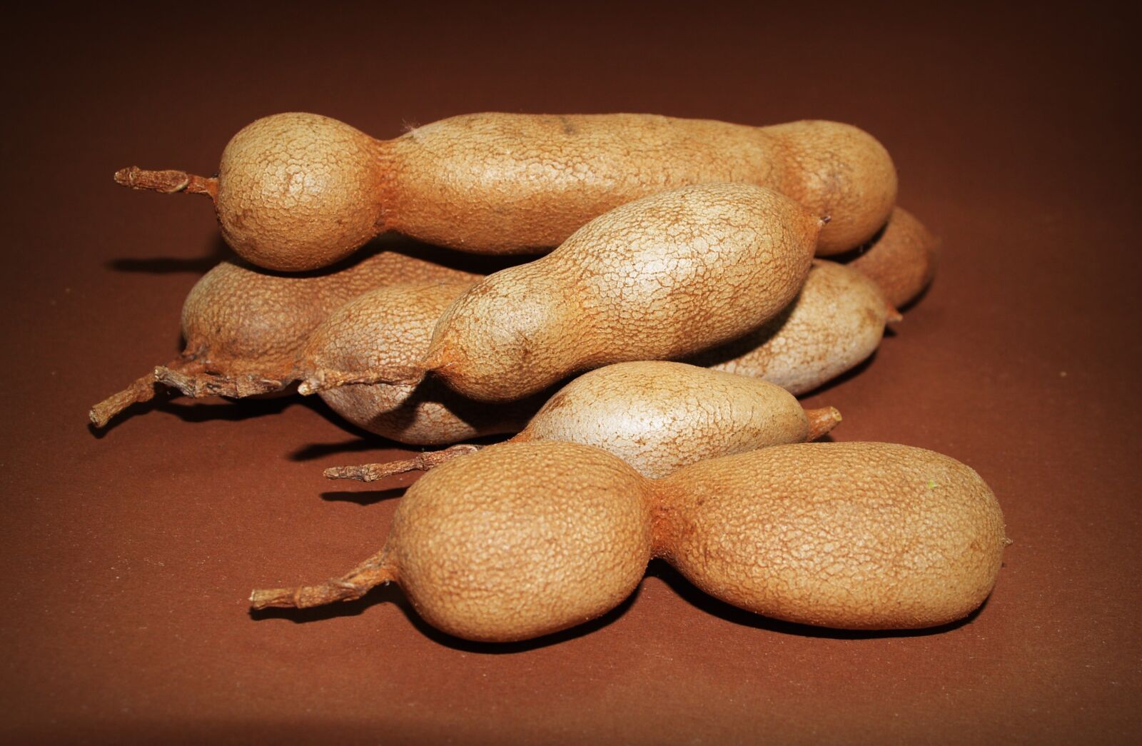 Olympus E-300 (EVOLT E-300) sample photo. Tamarind, isolated, ripe photography
