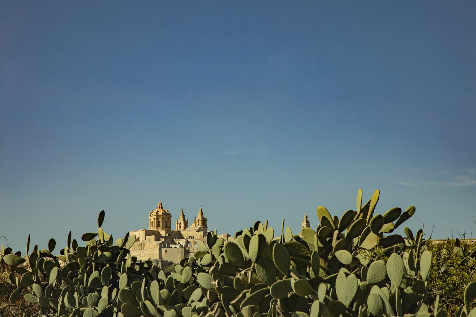 Canon EOS 5D Mark IV sample photo. Mediterranean, landscape, gozo photography